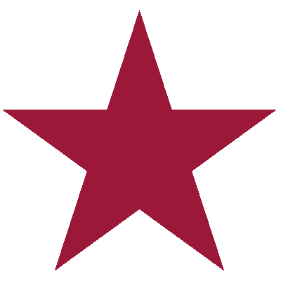 Budd Inlet Star Fleet logo